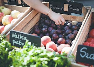 The image shows a hand reaching into a crate of plums at a market, with surrounding crates containing apples and other fruits, labeled in Polish.