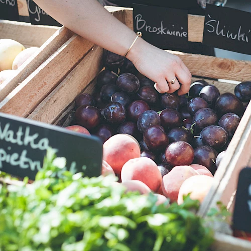 The image shows a hand reaching into a crate of plums at a market, with surrounding crates containing apples and other fruits, labeled in Polish.