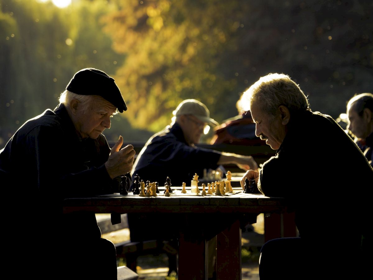 Two individuals are engrossed in a game of chess at an outdoor park, with other people visible in the background.